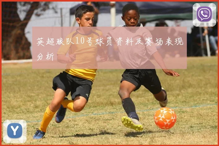 英超狼队10号球员资料及赛场表现分析