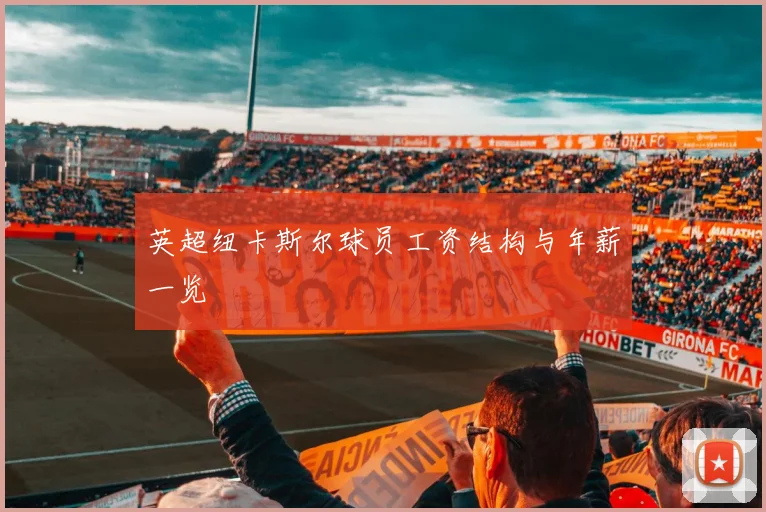 英超纽卡斯尔球员工资结构与年薪一览