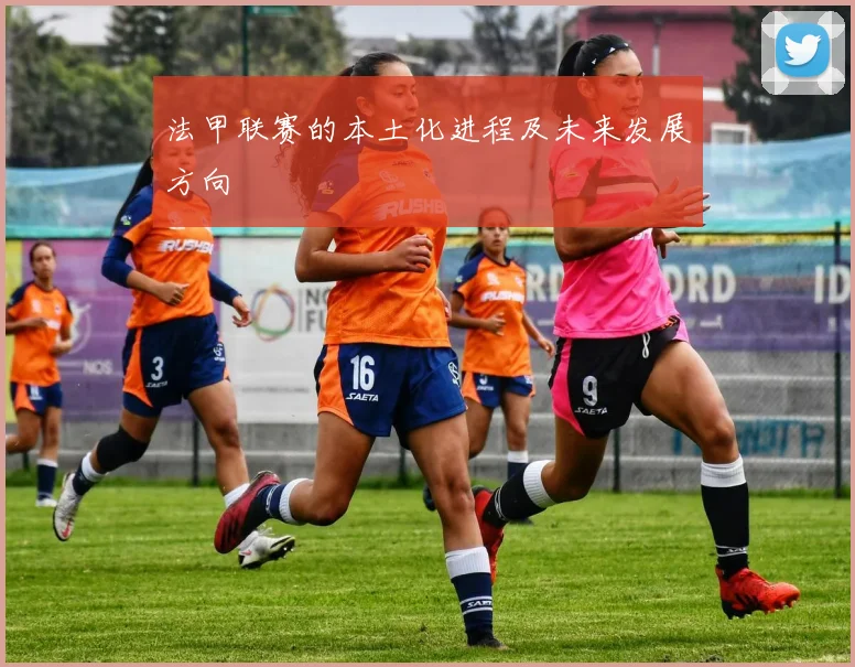法甲联赛的本土化进程及未来发展方向